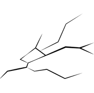 Fissure(s)